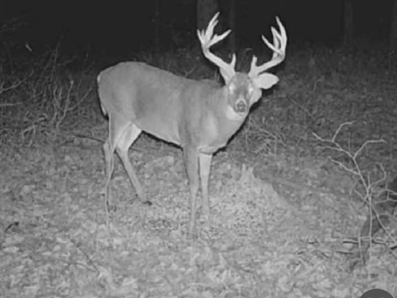 0 Potts Hill Rd, Bainbridge, OH 45612 Photo 24