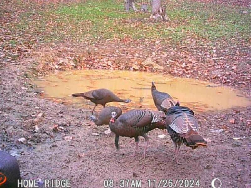 0 Potts Hill Rd, Bainbridge, OH 45612 Photo 33