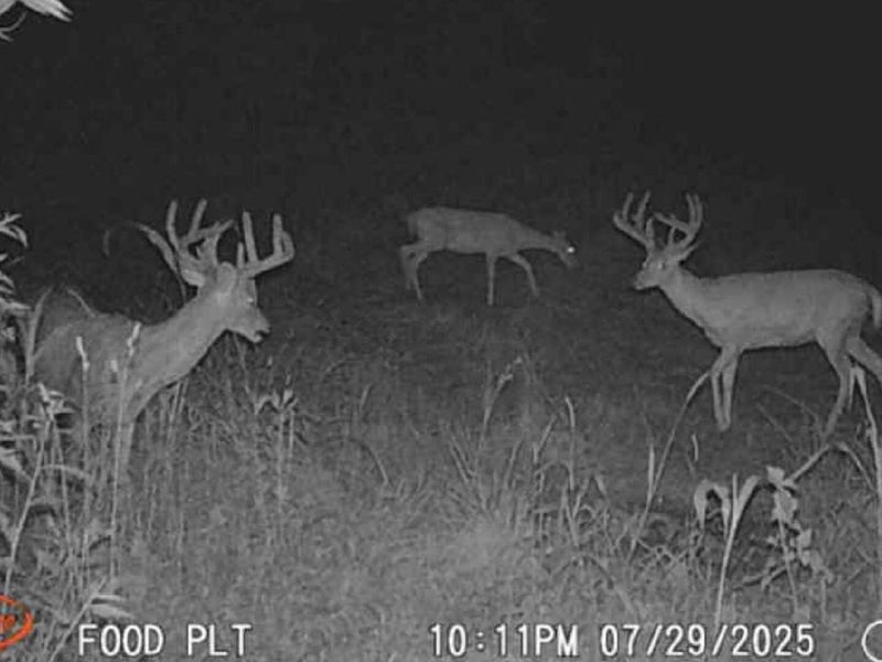 0 Potts Hill Rd, Bainbridge, OH 45612 Photo 35