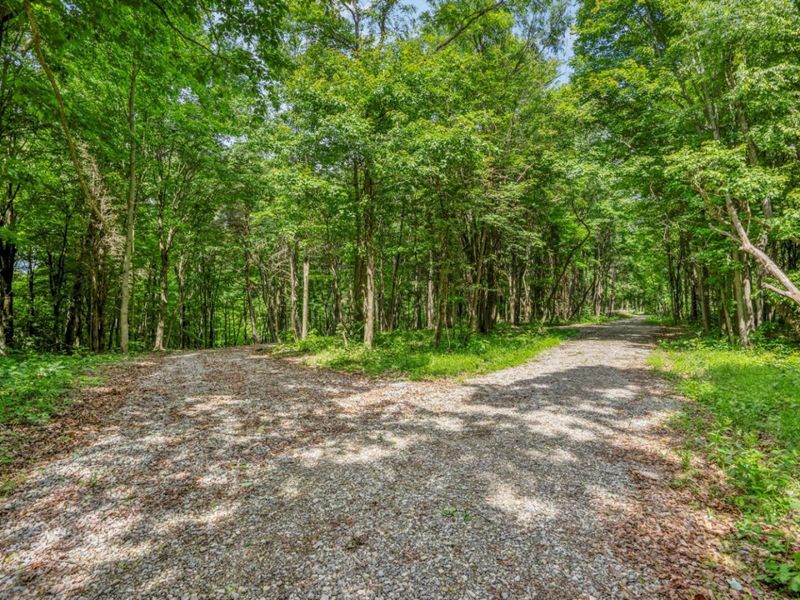 0 Potts Hill Rd, Bainbridge, OH 45612 Photo 4