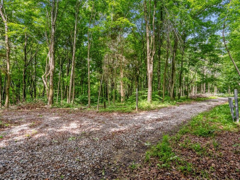 0 Potts Hill Rd, Bainbridge, OH 45612 Photo 6