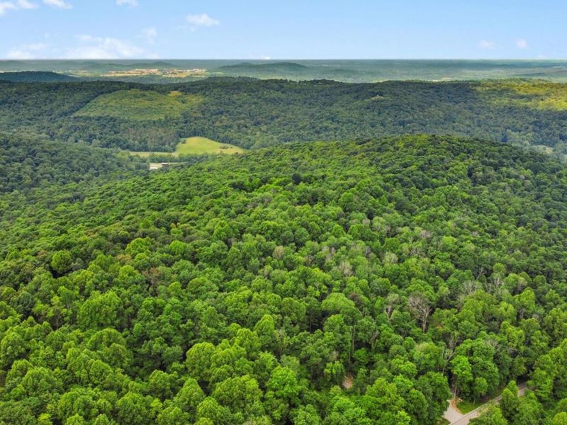 0 Potts Hill Rd, Bainbridge, OH 45612 Photo 9