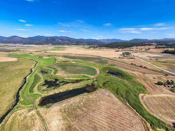 100xx Newton Rd Rd, Chewelah, WA 99109