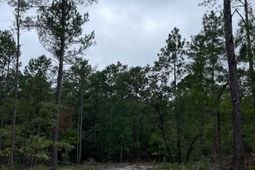 1870 Henry Davis Road photo 4