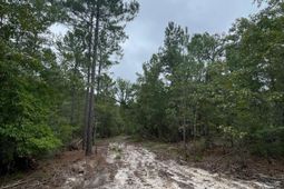 1870 Henry Davis Road photo 4