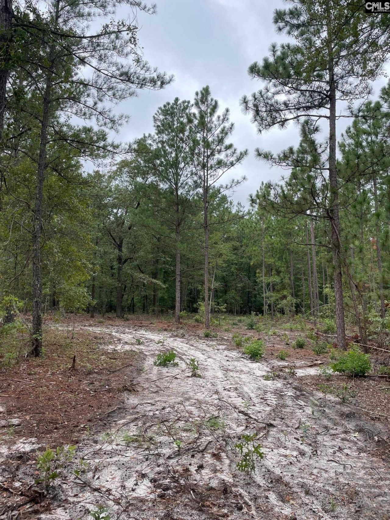 1870 Henry Davis Road Photo 6