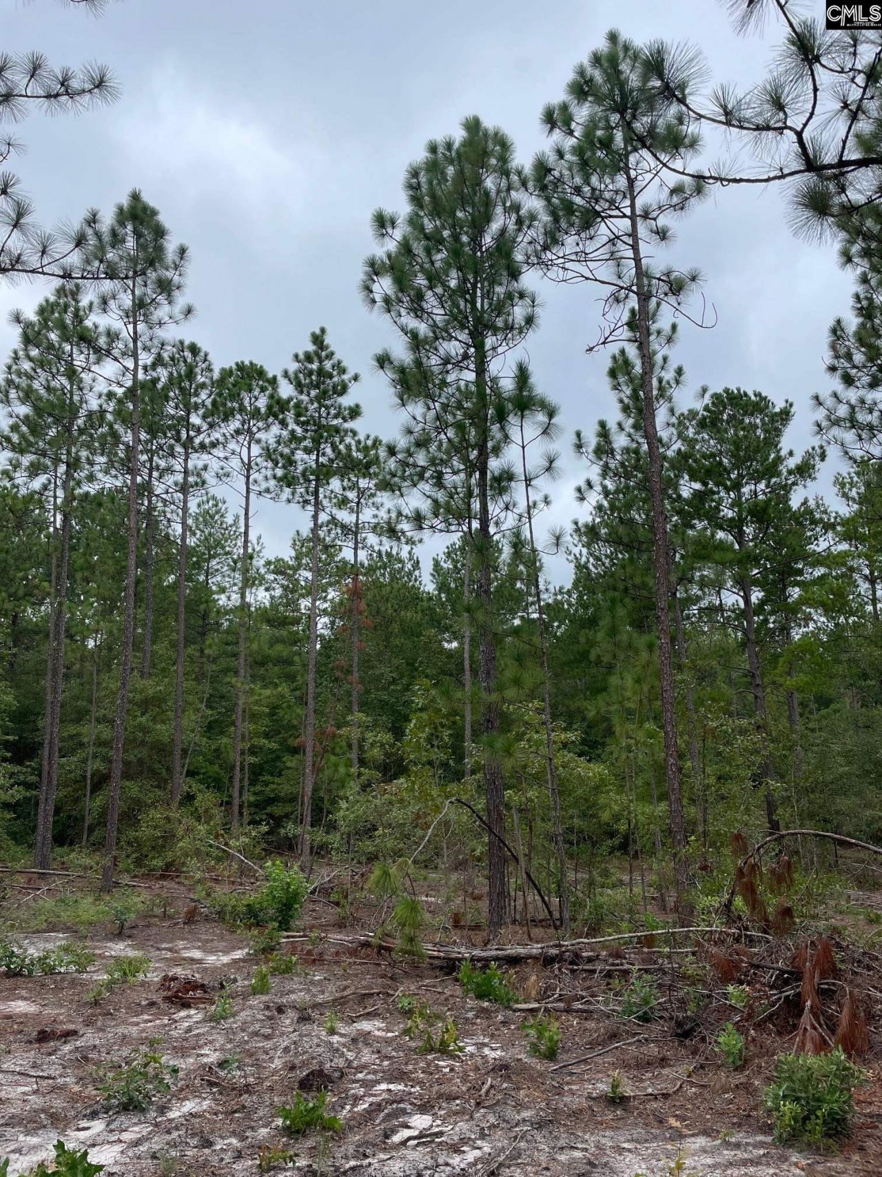 1870 Henry Davis Road Photo 7