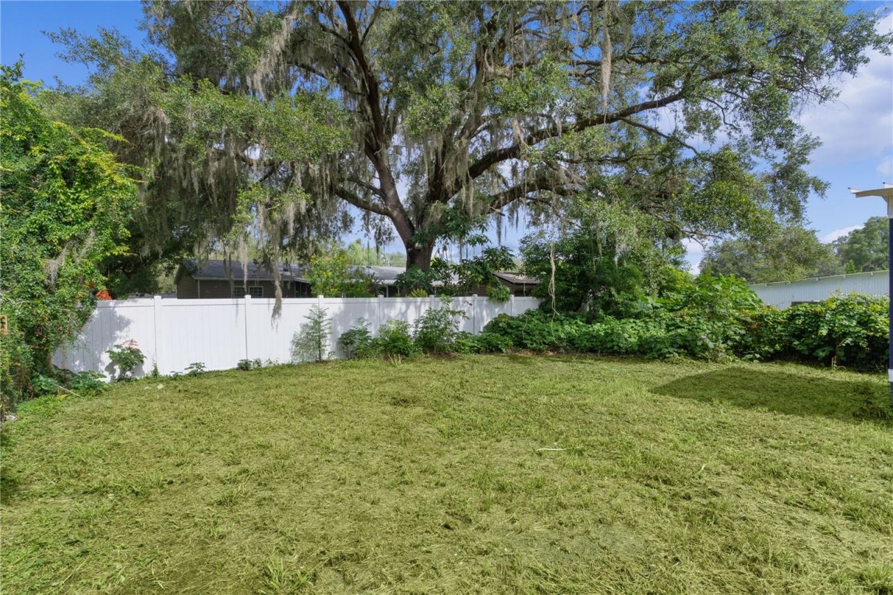 27301 Lemon Avenue, Okahumpka, FL 34762 Photo