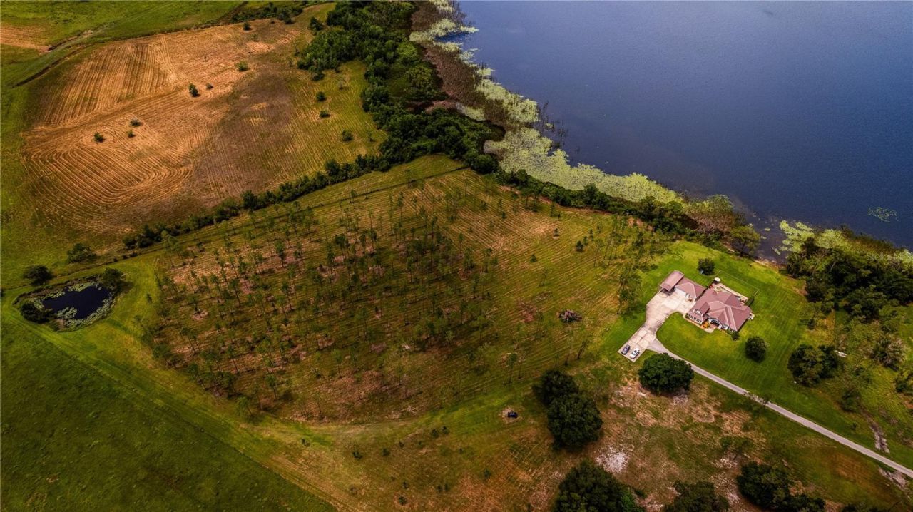 2360 Live Oak Lake Rd, Saint Cloud, FL 34771 Photo