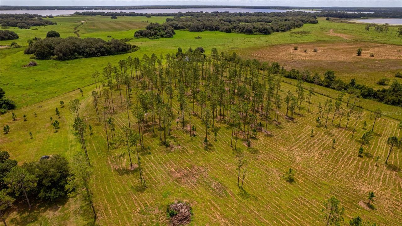 2360 Live Oak Lake Rd, Saint Cloud, FL 34771 Photo