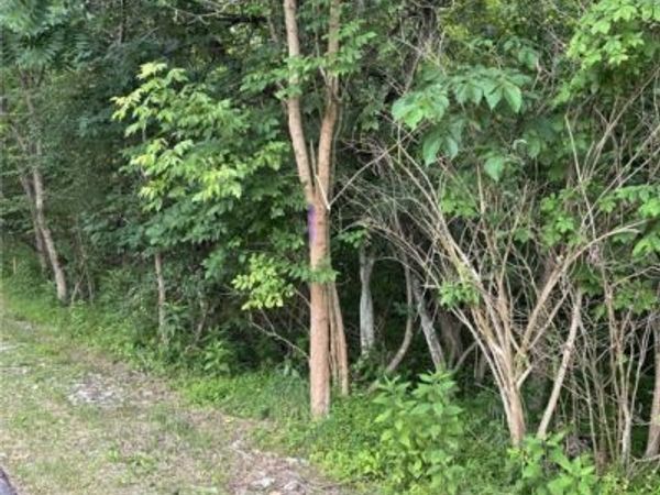 00 Honor St, Coal Center, PA 15423