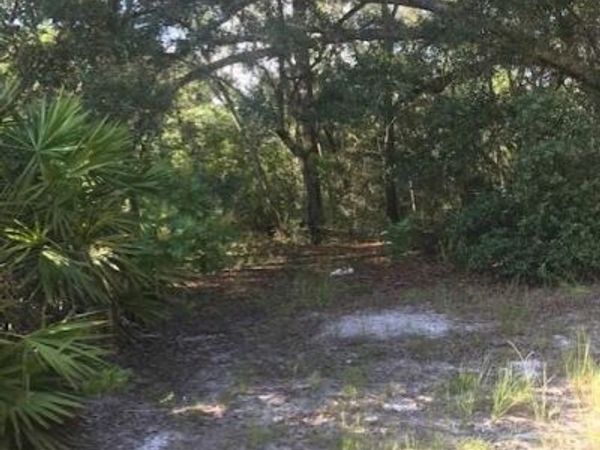 114 HEINZ Road, Hawthorne, FL 32640