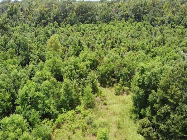 8382 Main St, Zachary, LA 70791