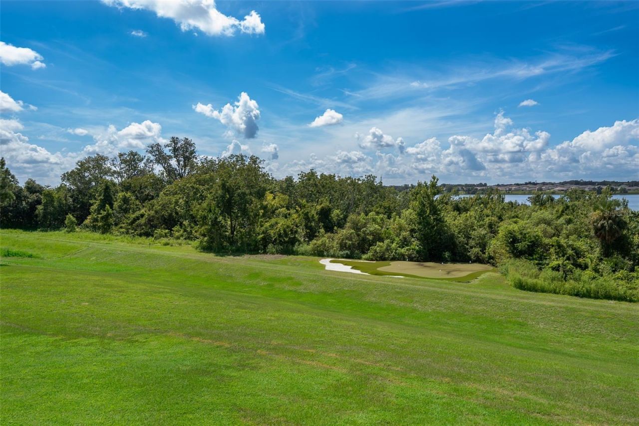 16834 Artimino Loop, Bella Collina, FL 34756 Photo