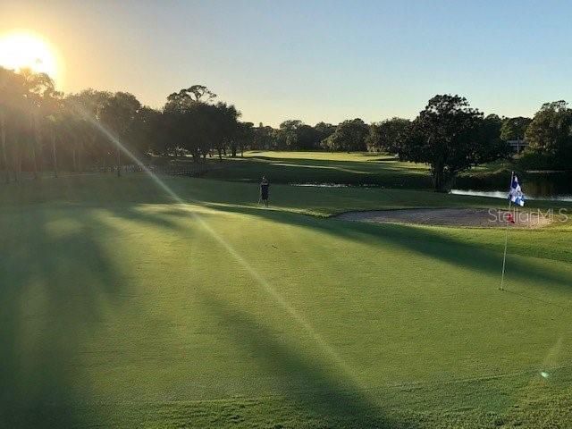 2187 Corinne Court S, Unit C, Saint Petersburg, FL 33712 Photo