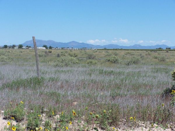 CALLE DEL SOL, McIntosh, NM 87032