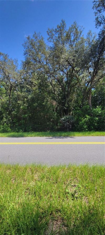 0 SW Beach Boulevard, Dunnellon, FL 34431