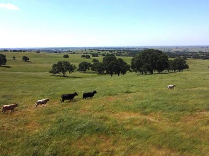 2 Zorro Rd, La Grange, CA 95329 Photo