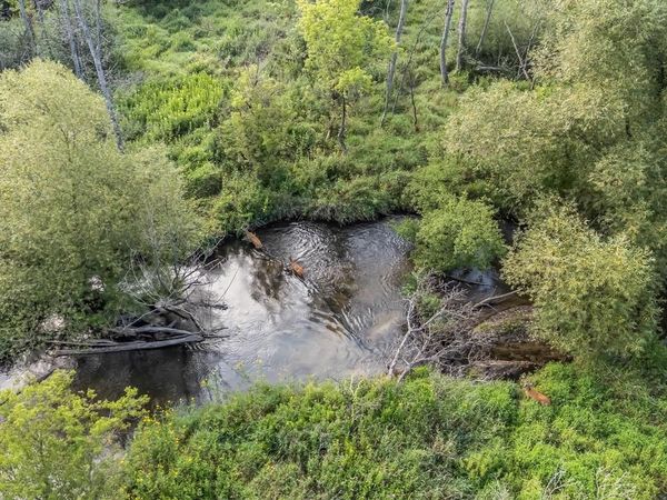 PINE STREET, Pine River, WI 54965