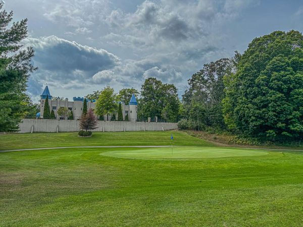 9384 E Circle Drive, Canadian Lakes, MI 49346