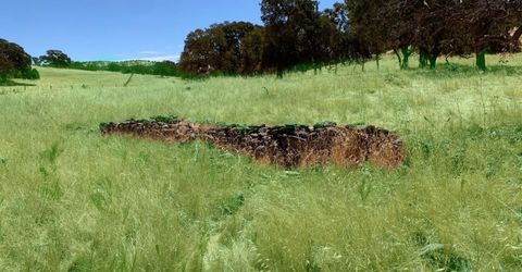 3 Zorro Rd, La Grange, CA 95329 Photo