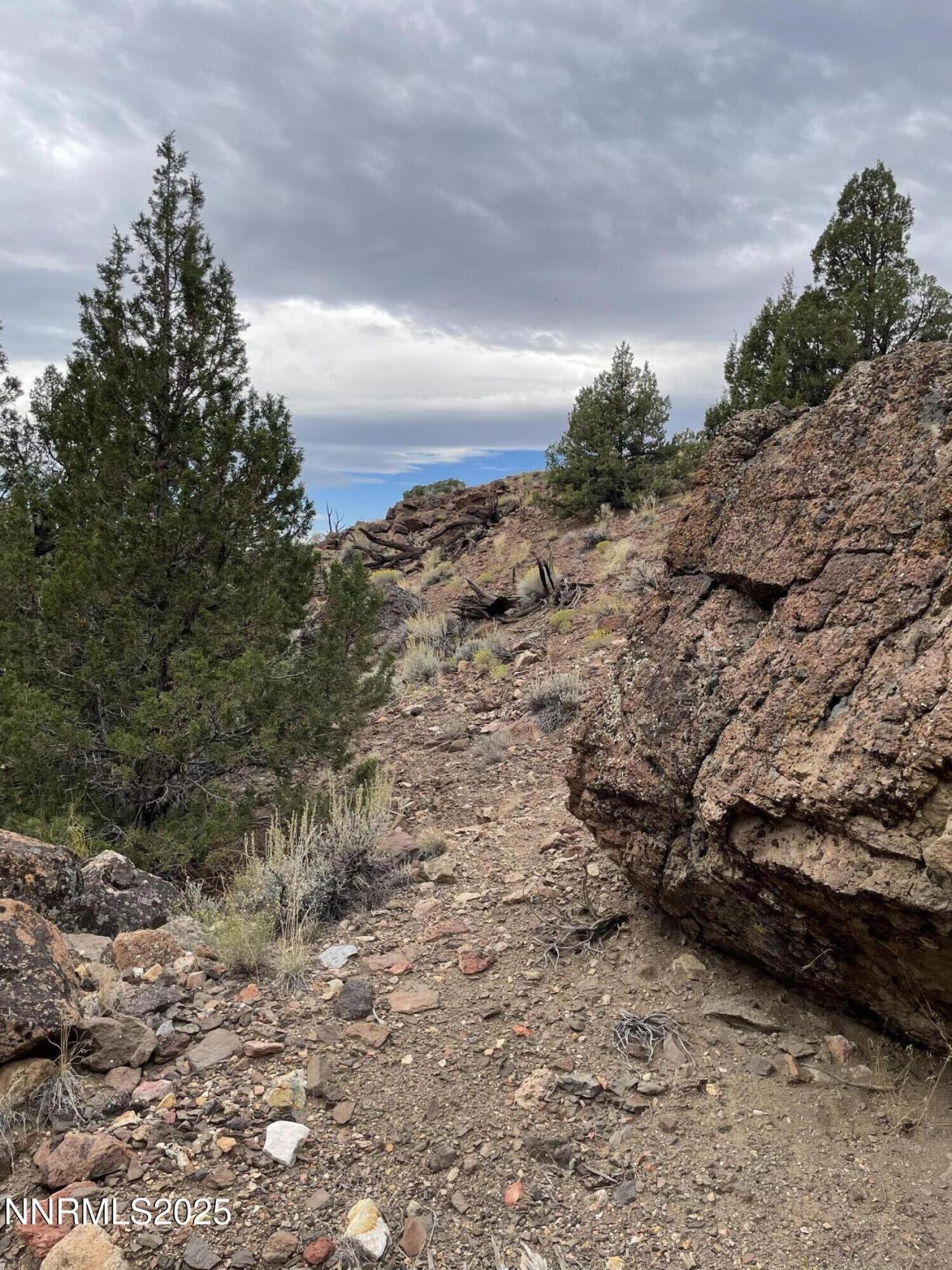 0 Quaking Aspen Road, Reno, NV 89510 Photo