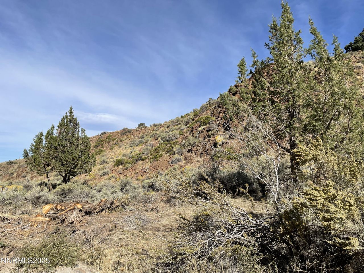 0 Quaking Aspen Road, Reno, NV 89510 Photo