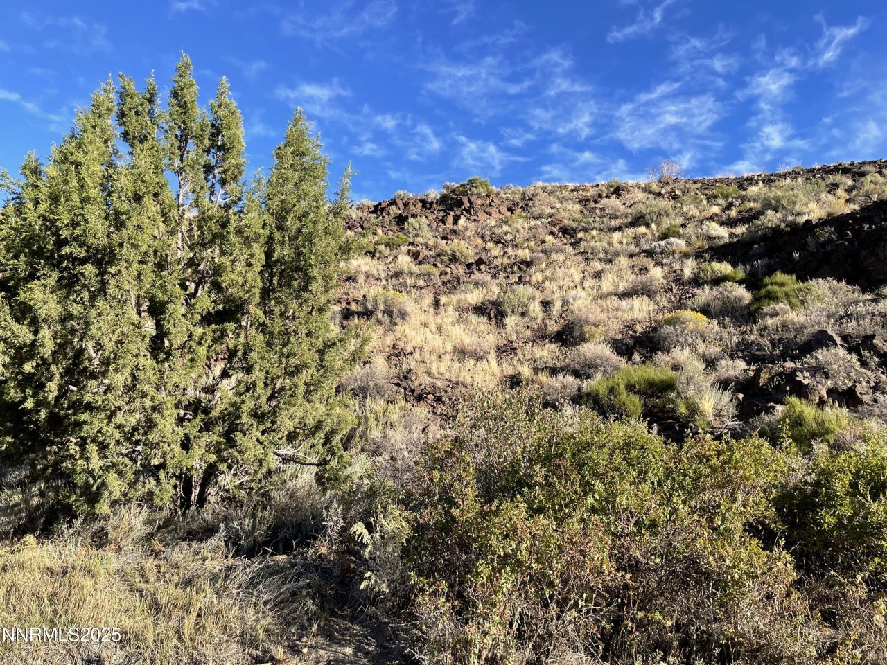 0 Quaking Aspen Road, Reno, NV 89510 Photo