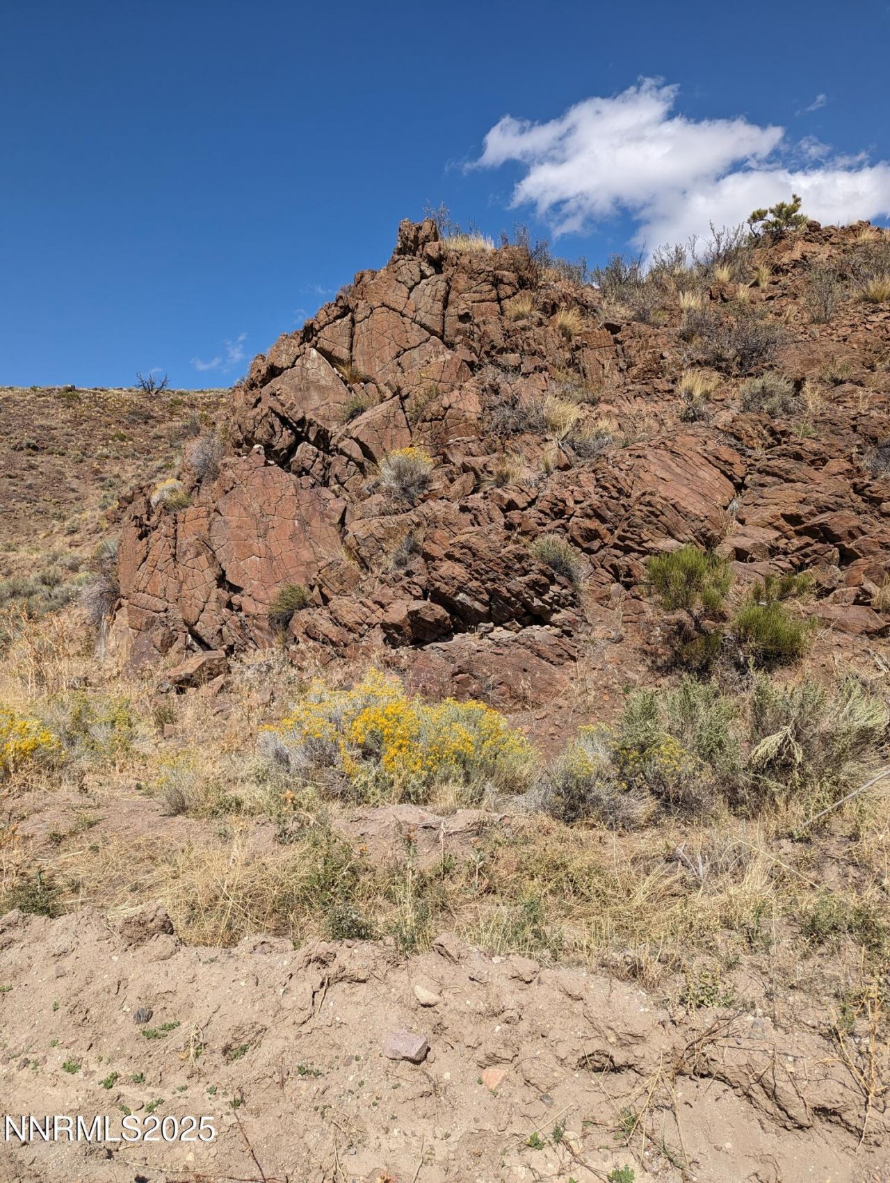 0 Quaking Aspen Road, Reno, NV 89510 Photo