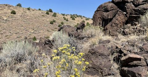 0 Quaking Aspen Road, Reno, NV 89510 Photo