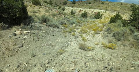 0 Quaking Aspen Road, Reno, NV 89510 Photo