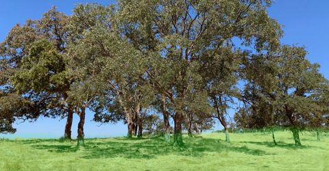 4 Zorro Rd, La Grange, CA 95329 Photo