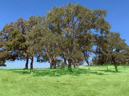 4 Zorro Rd, La Grange, CA 95329 Photo