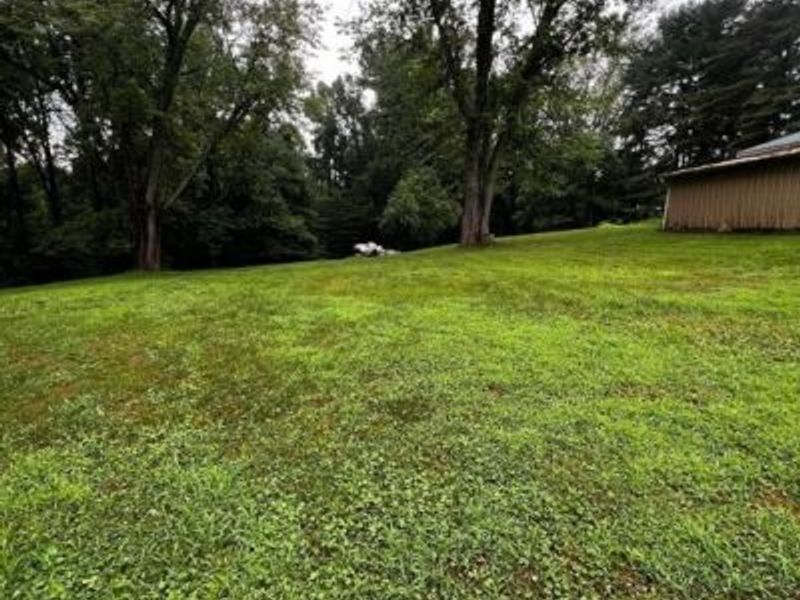 9894 Salem Hollow RD Road NE, New Straitsville, OH 43150 Photo 5