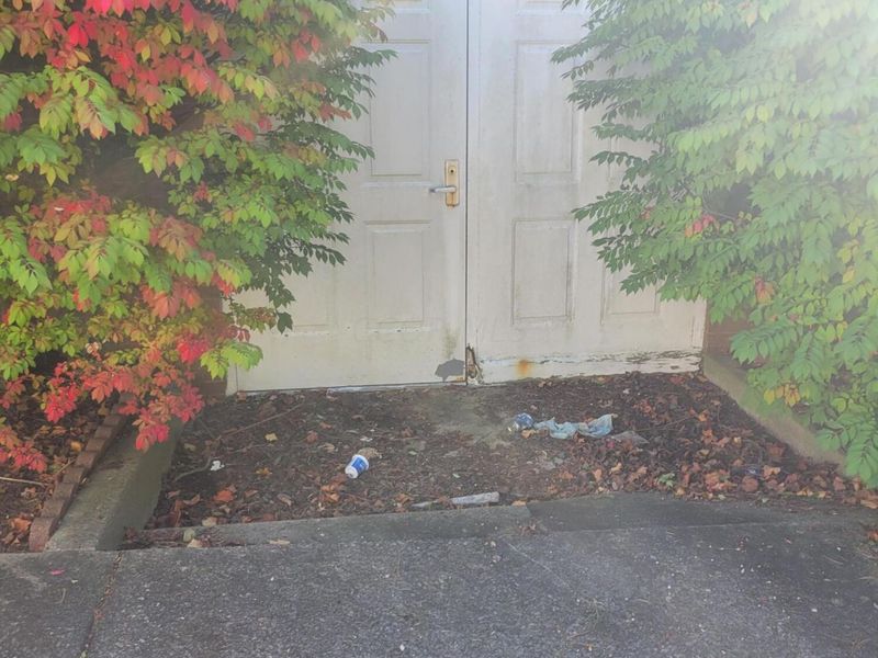 267 N Main Street, Johnstown, OH 43031 Photo 7