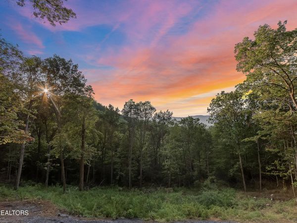 Overholt Tr, Sevierville, TN 37862