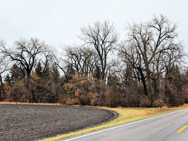 TBD Main, Saint Thomas, ND 58276