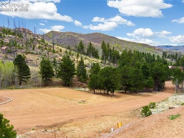 13990 S Highway 67, Woodland Park, CO 80863