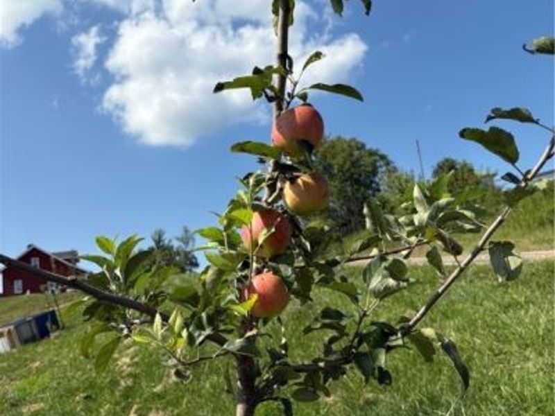 52021 Spencer Road, Cumberland, OH 43732 Photo 26