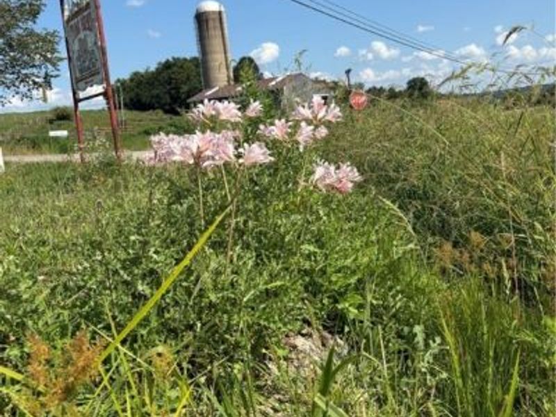 52021 Spencer Road, Cumberland, OH 43732 Photo 27