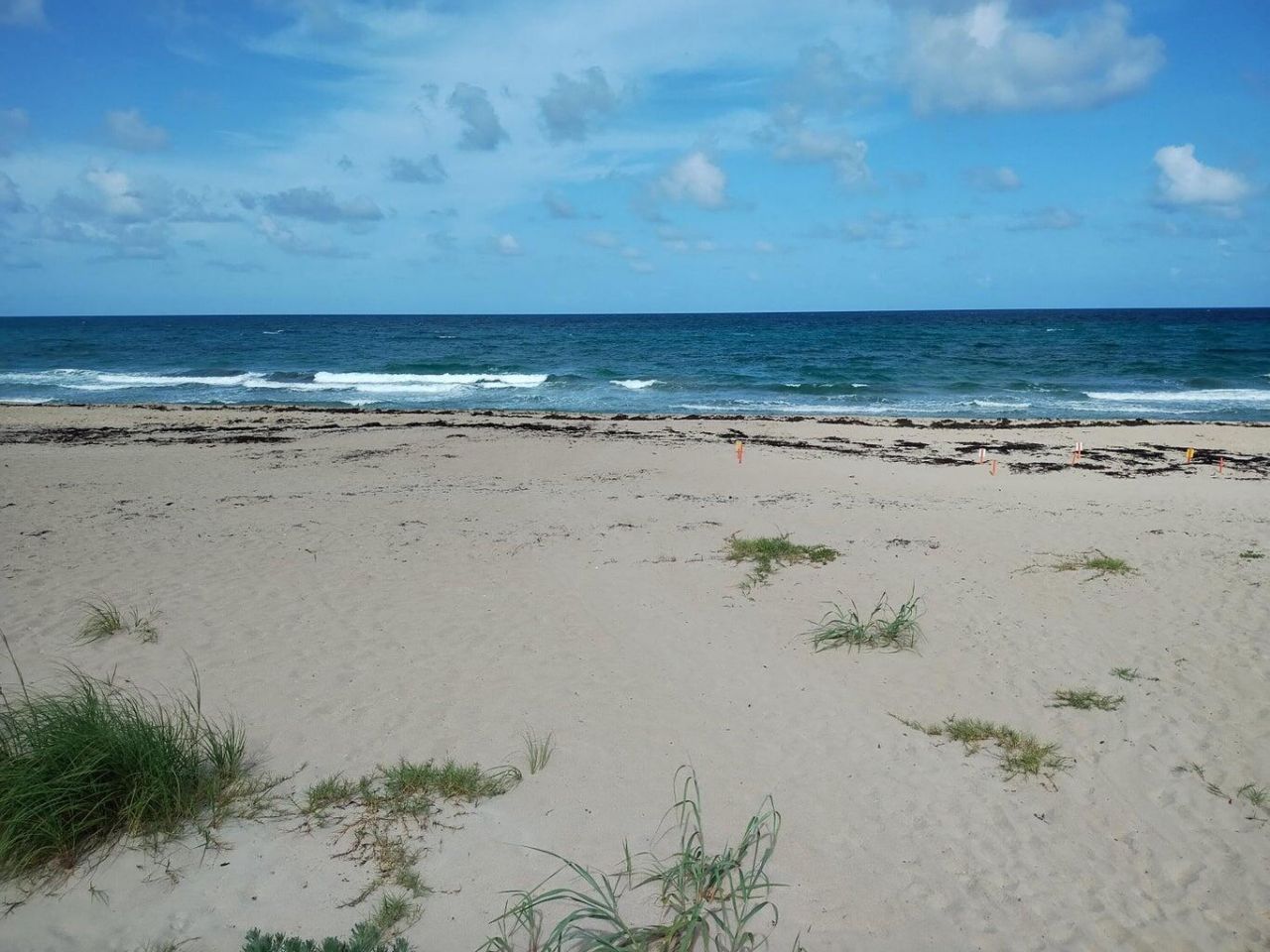 5500 Old Ocean Boulevard, Unit 210, Ocean Ridge, FL 33435 Photo
