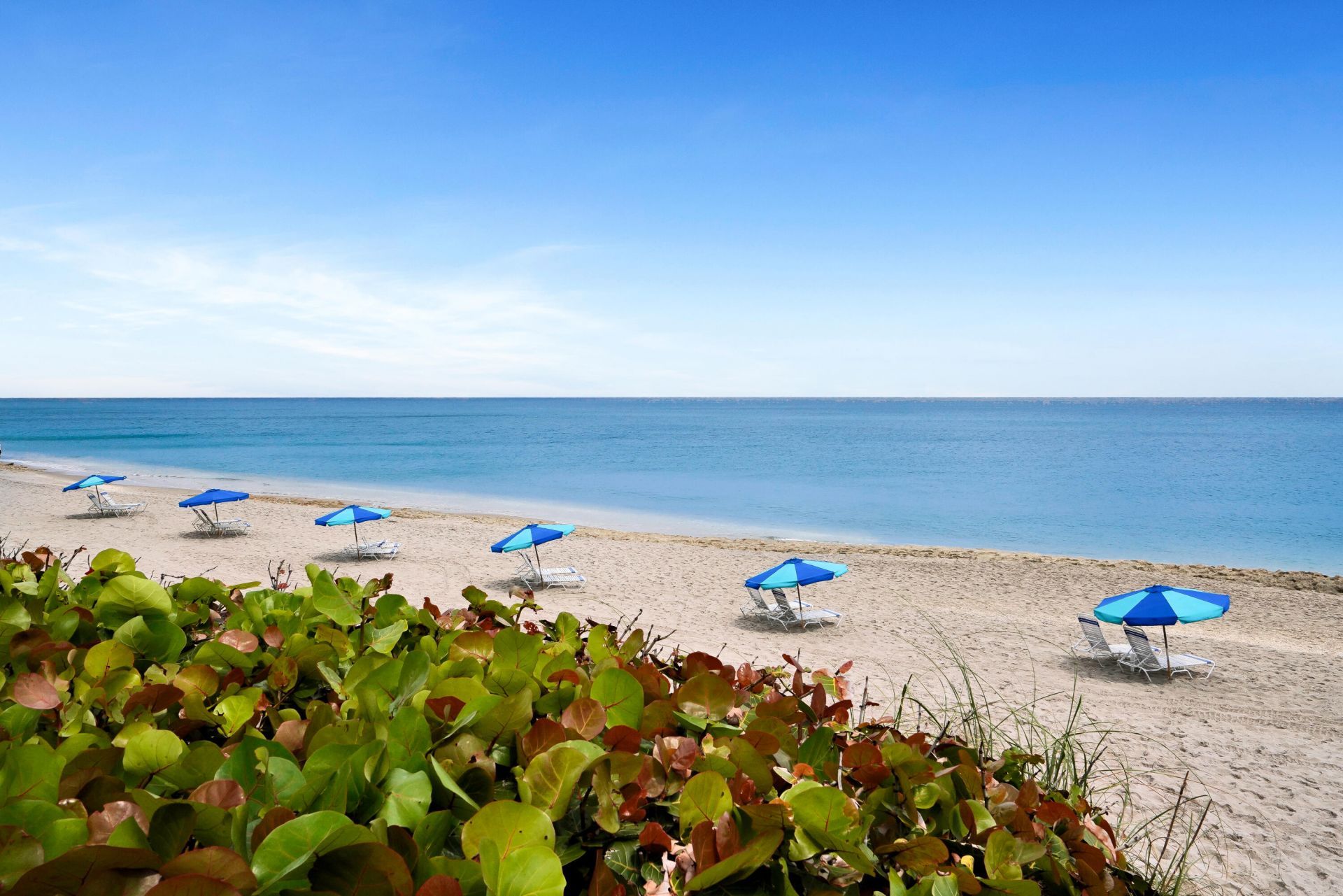 4100 N Ocean Drive, Unit 803, Singer Island, FL 33404 Photo