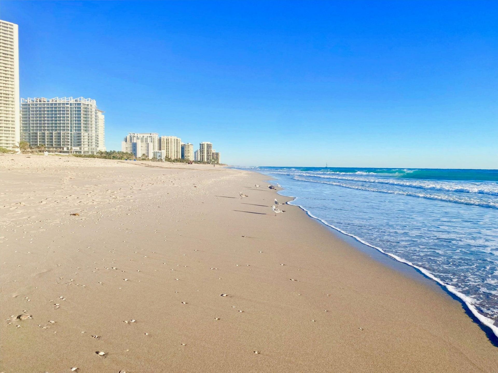 4100 N Ocean Drive, Unit 803, Singer Island, FL 33404 Photo