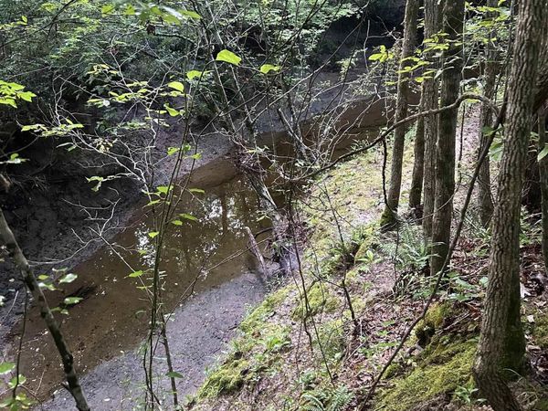 TBD Hempstead 14, Washington, AR 71862