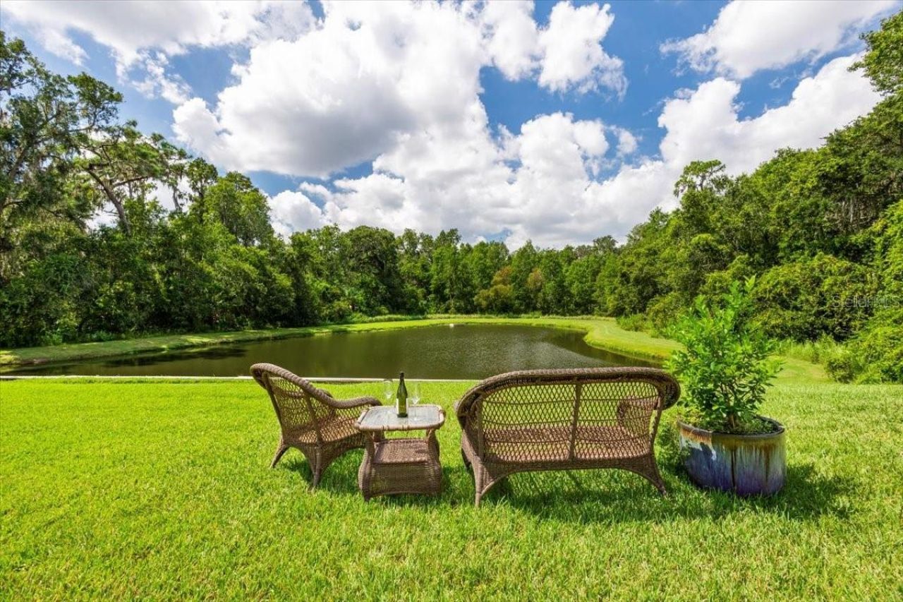 5120 Tari Stream Way, Brandon, FL 33511 Photo