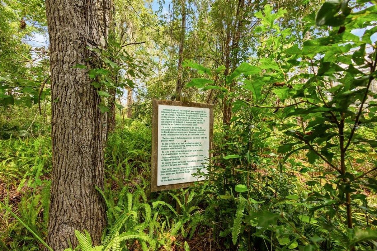 5120 Tari Stream Way, Brandon, FL 33511 Photo