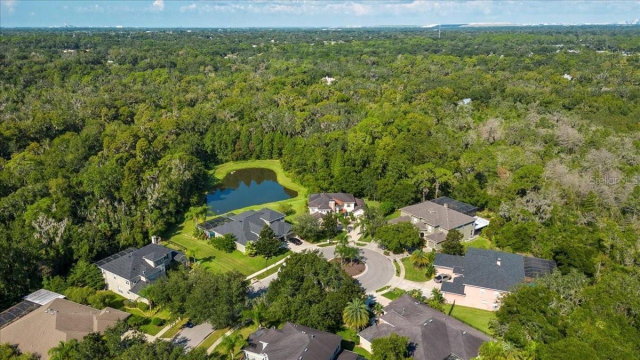5120 Tari Stream Way, Brandon, FL 33511 Photo