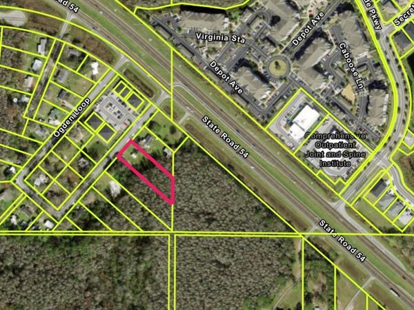 14969 OGDEN LOOP, ODESSA, FL 33556
