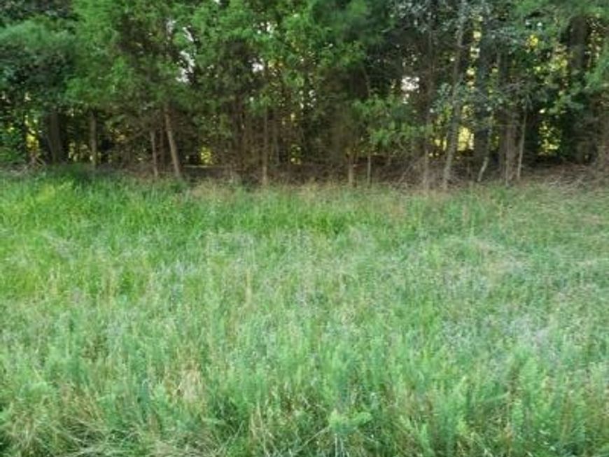 Lot 8 Lake, Lexington Park, MD 20653 Main Photo