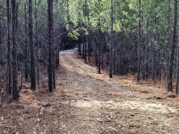 0 Black Creek Road, Gordon, GA 31031